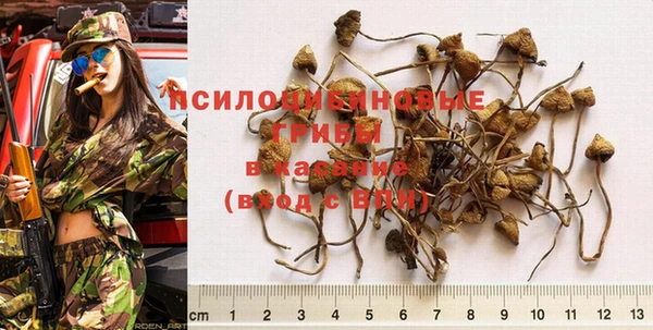 первитин Лиски