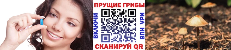 Псилоцибиновые грибы мухоморы дарнет шоп Ясный