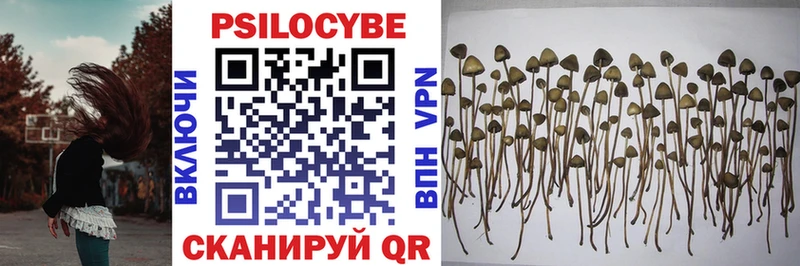 Псилоцибиновые грибы GOLDEN TEACHER Ясный